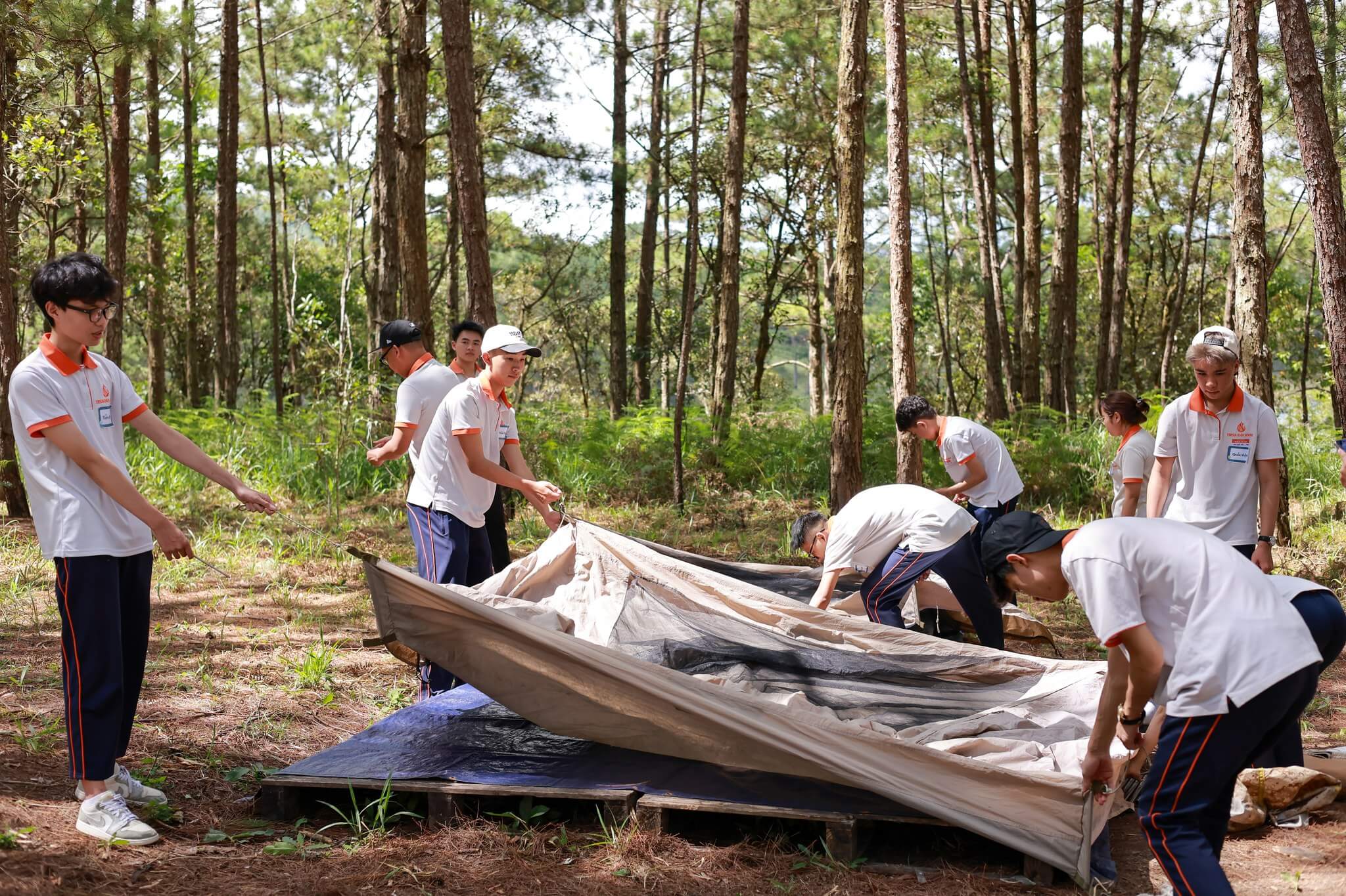 Tiểu học - TTC Edu