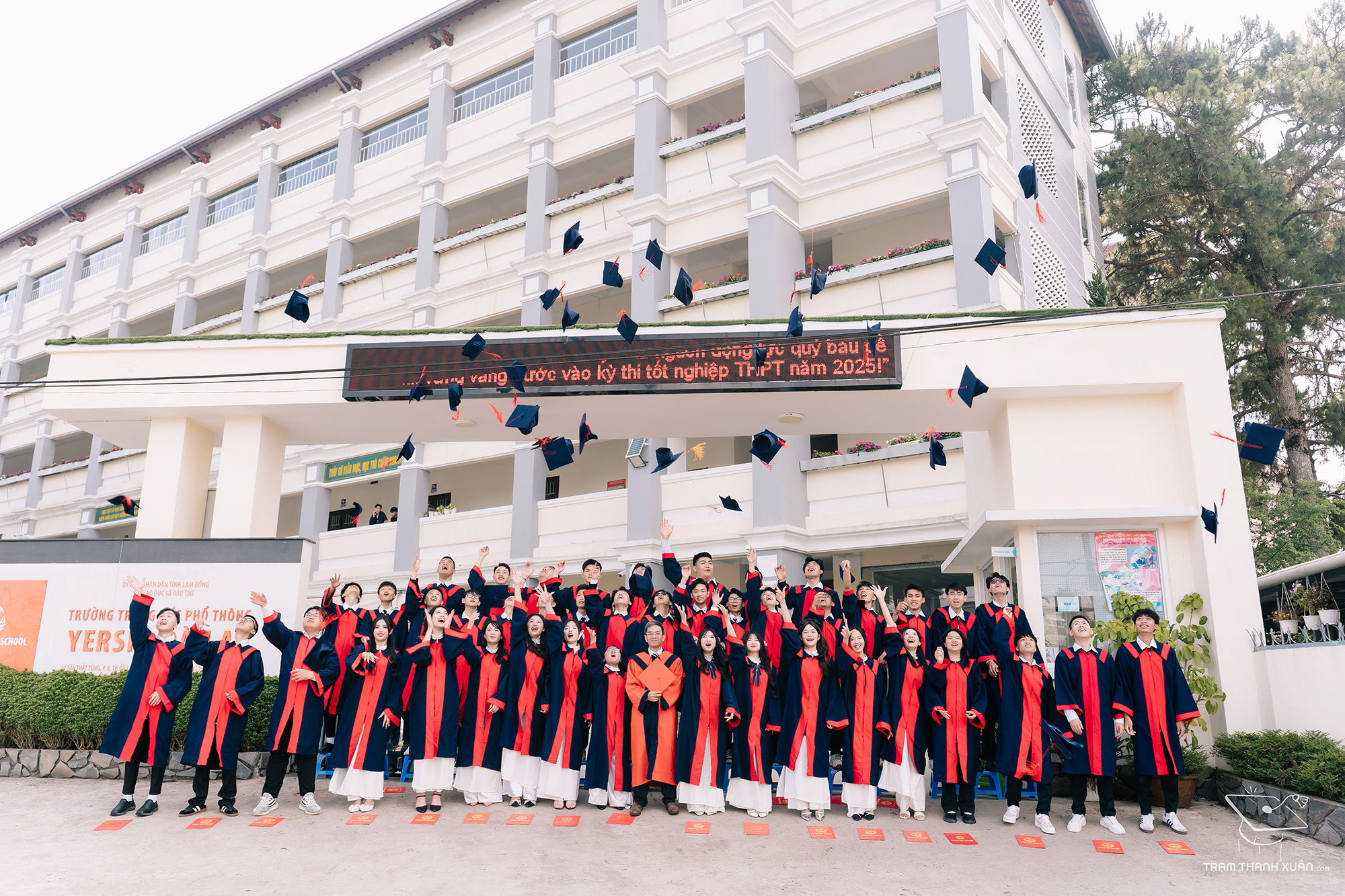 Tiểu học - TTC Edu